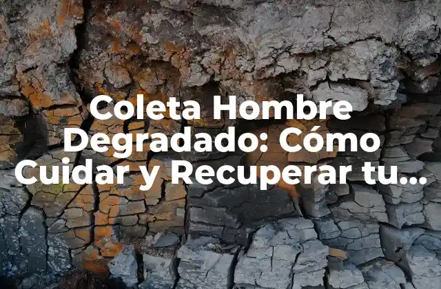 Coleta Hombre Degradado: Cómo Cuidar y Recuperar Tu Cabello