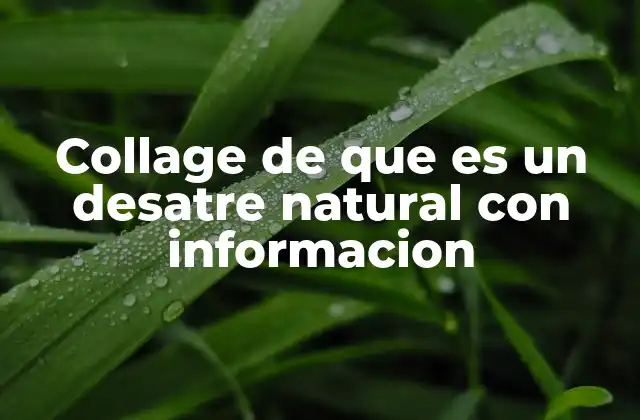 Collage de que es un Desatre Natural con Informacion