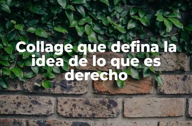 Collage que Defina la Idea de Lo que es Derecho