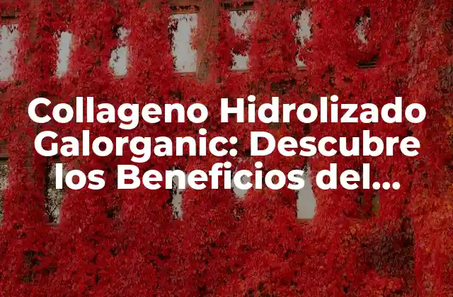 Collageno Hidrolizado Galorganic: Descubre los Beneficios Del Suplemento Natural