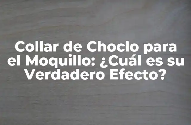 ¿Qué es un Collar de Choclo para el Moquillo?