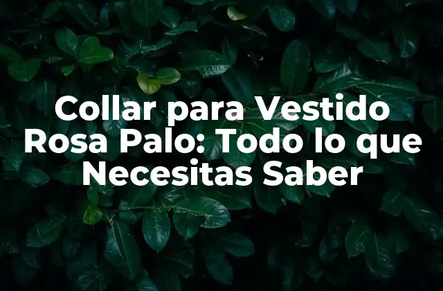 Collar para Vestido Rosa Palo: Todo Lo que Necesitas Saber