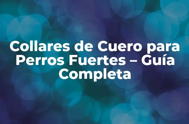 Collares de Cuero para Perros Fuertes – Guía Completa