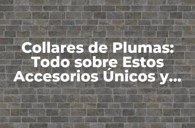 Collares de Plumas: Todo sobre Estos Accesorios Únicos y Coloridos