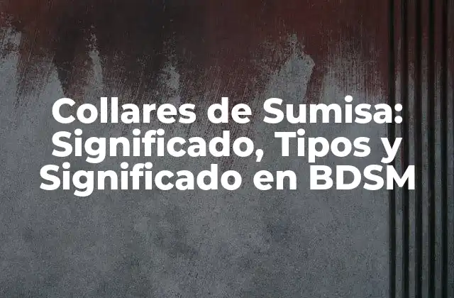 Collares de Sumisa: Significado, Tipos y Significado en Bdsm