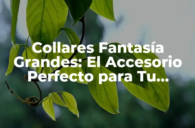 Collares Fantasía Grandes: el Accesorio Perfecto para Tu Atuendo