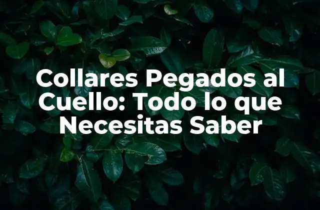 Collares Pegados Al Cuello: Todo Lo que Necesitas Saber 2 ¿Qué son los Collares Pegados al Cuello?