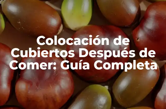 Colocación de Cubiertos Después de Comer: Guía Completa