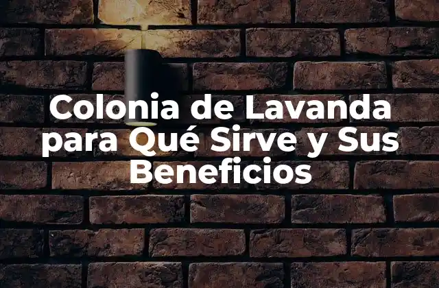 Colonia de Lavanda para Qué Sirve y Sus Beneficios