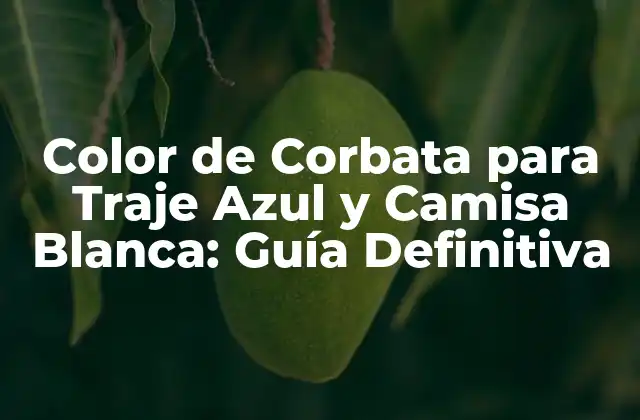 Color de Corbata para Traje Azul y Camisa Blanca: Guía Definitiva