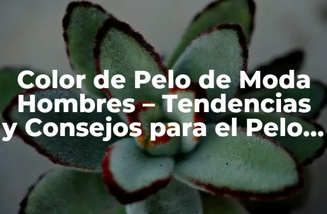 Color de Pelo de Moda Hombres – Tendencias y Consejos para el Pelo de los Hombres