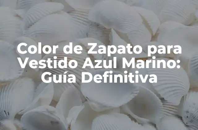 ¿Qué Colores de Zapato Son Adecuados para un Vestido Azul Marino?