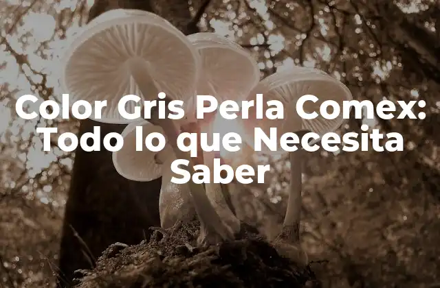 Color Gris Perla Comex: Todo Lo que Necesita Saber