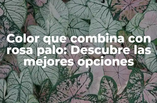 Color que Combina con Rosa Palo: Descubre las Mejores Opciones