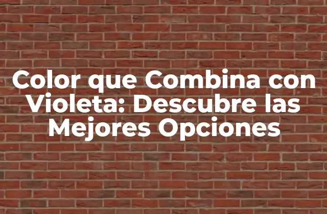 ¿Por qué Es Importante Combinar Colores con Violeta?