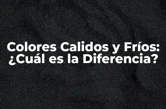 Colores Calidos y Fríos: ¿cuál es la Diferencia?