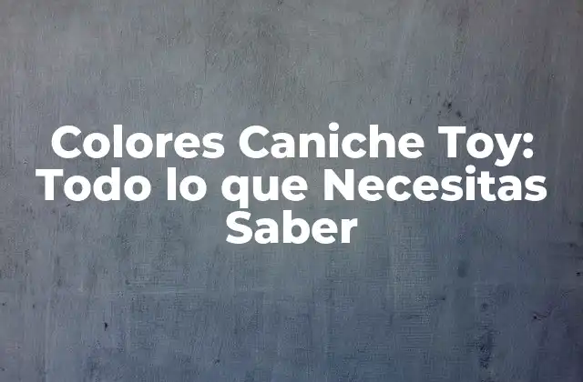 Colores Caniche Toy: Todo Lo que Necesitas Saber