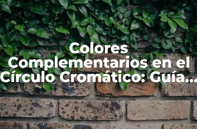 Colores Complementarios en el Círculo Cromático: Guía Definitiva