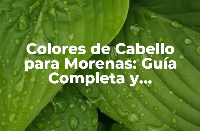 Colores de Cabello para Morenas: Guía Completa y Actualizada