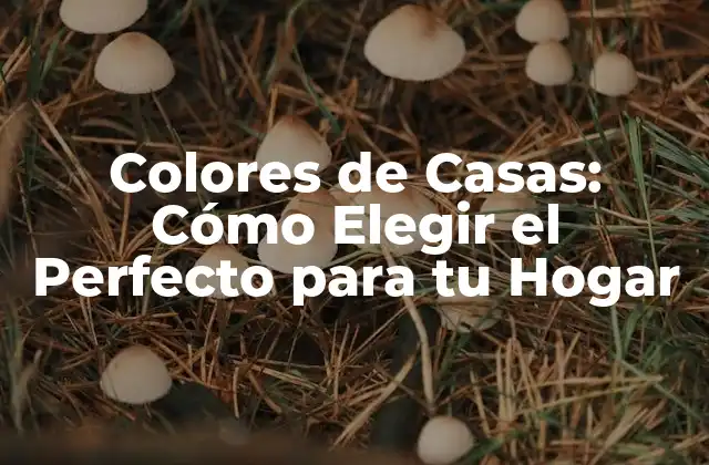 Colores de Casas: Cómo Elegir el Perfecto para Tu Hogar 2 Los Colores de Casas más Populares: Tendencias Actuales