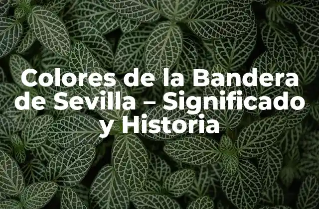 Colores de la Bandera de Sevilla – Significado y Historia