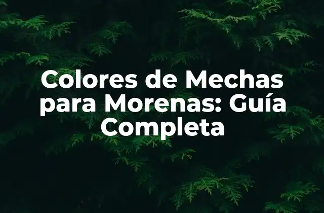 Colores de Mechas para Morenas: Guía Completa