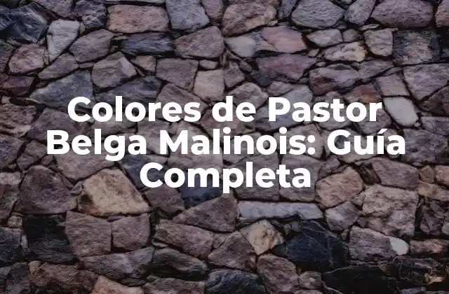 Colores de Pastor Belga Malinois: Guía Completa