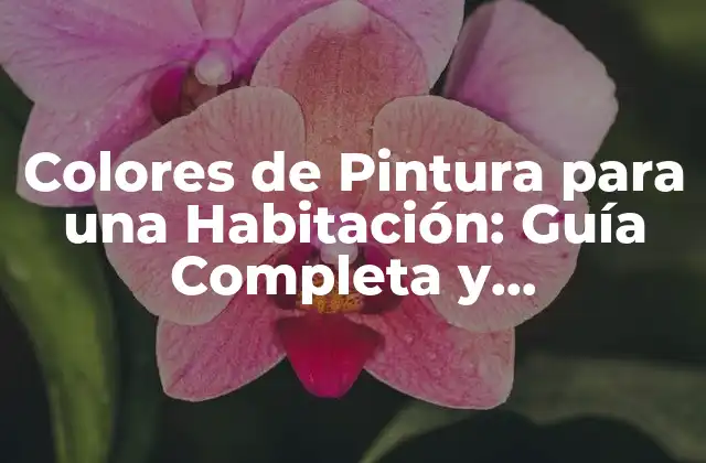 Tipos de Colores de Pintura para una Habitación