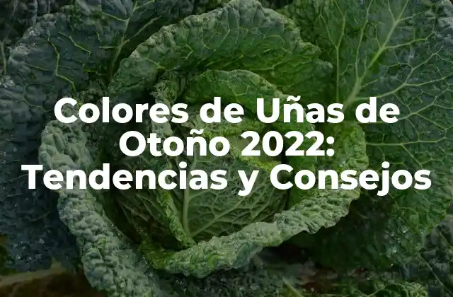 Colores de Uñas de Otoño 2022: Tendencias y Consejos