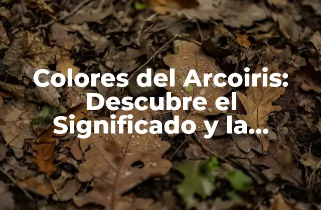 Colores Del Arcoiris: Descubre el Significado y la Importancia de Cada Color