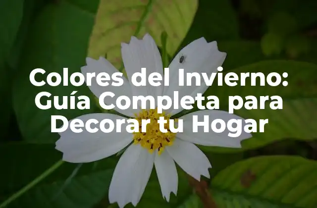 Colores Del Invierno: Guía Completa para Decorar Tu Hogar