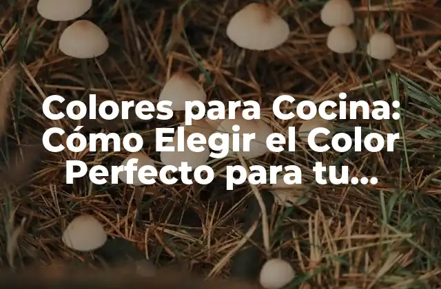 Colores para Cocina: Cómo Elegir el Color Perfecto para Tu Espacio de Cocina