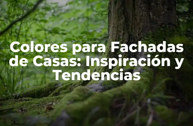 Colores para Fachadas de Casas: Inspiración y Tendencias