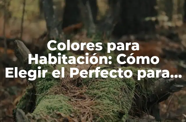 Colores para Habitación: Cómo Elegir el Perfecto para Tu Espacio