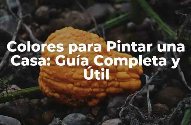 Colores para Pintar una Casa: Guía Completa y Útil
