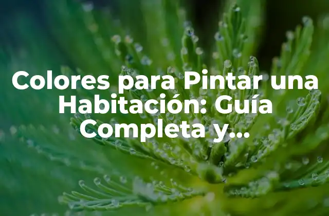 Colores para Pintar una Habitación: Guía Completa y Actualizada