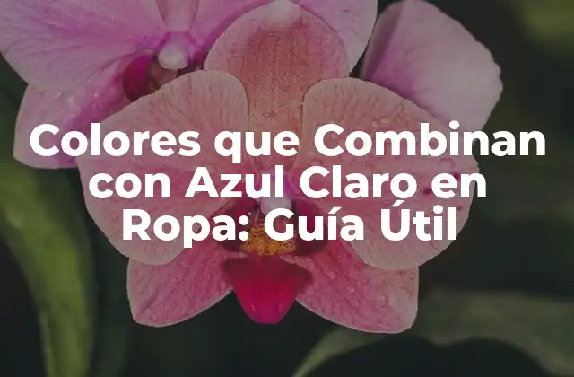 Colores que Combinan con Azul Claro en Ropa: Guía Útil