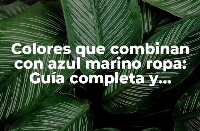 Colores que Combinan con Azul Marino Ropa: Guía Completa y Inspiradora
