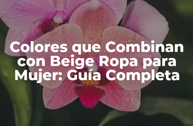 Colores que Combinan con Beige Ropa para Mujer: Guía Completa