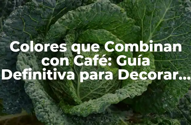 El Significado del Color Café