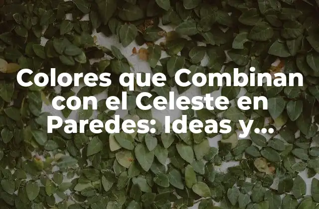 ¿Qué Colores Combinan con el Celeste en Paredes?