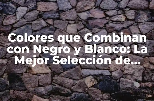 Colores que Combinan con Negro y Blanco: la Mejor Selección de Paletas