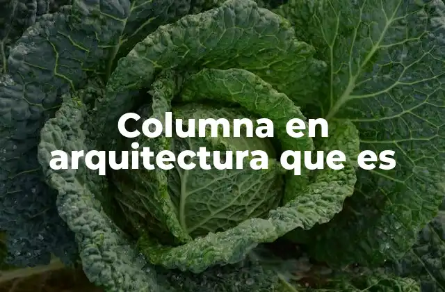 Columna en Arquitectura que es
