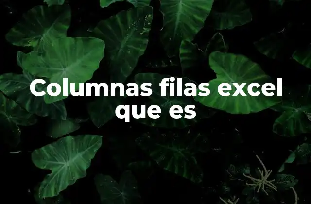 Columnas Filas Excel que es