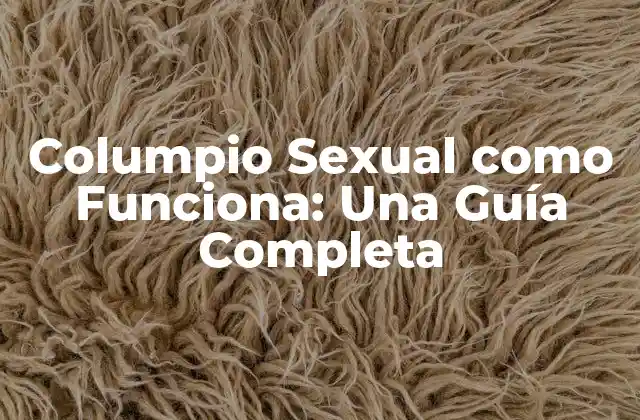 Columpio Sexual como Funciona: una Guía Completa