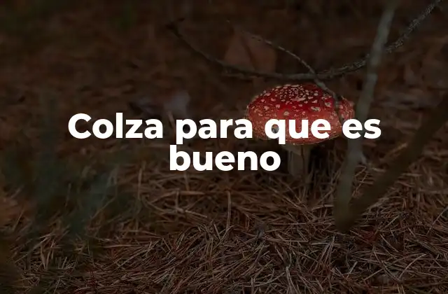 Colza para que es Bueno