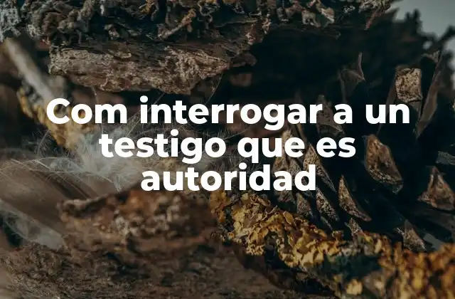 Estrategias para manejar la dinámica de poder durante el interrogatorio