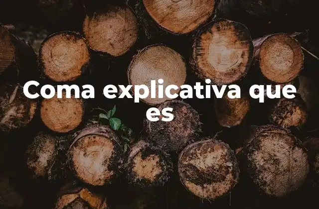 Coma Explicativa que es
