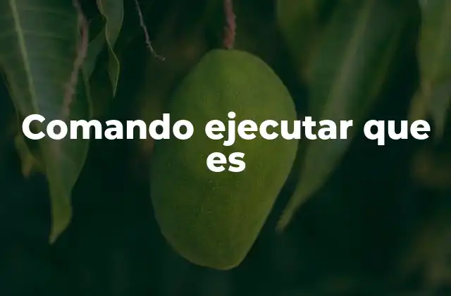 Comando Ejecutar que es