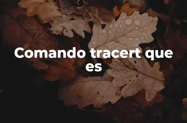 Comando Tracert que es